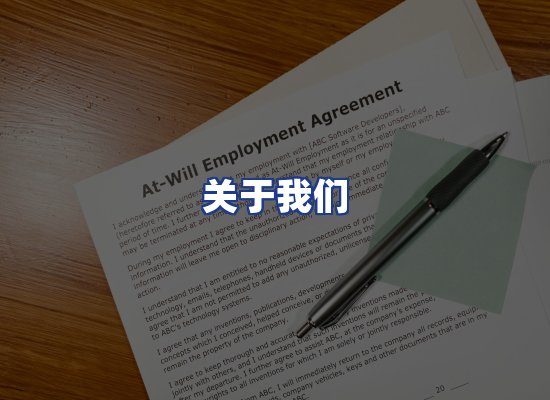 专业团队